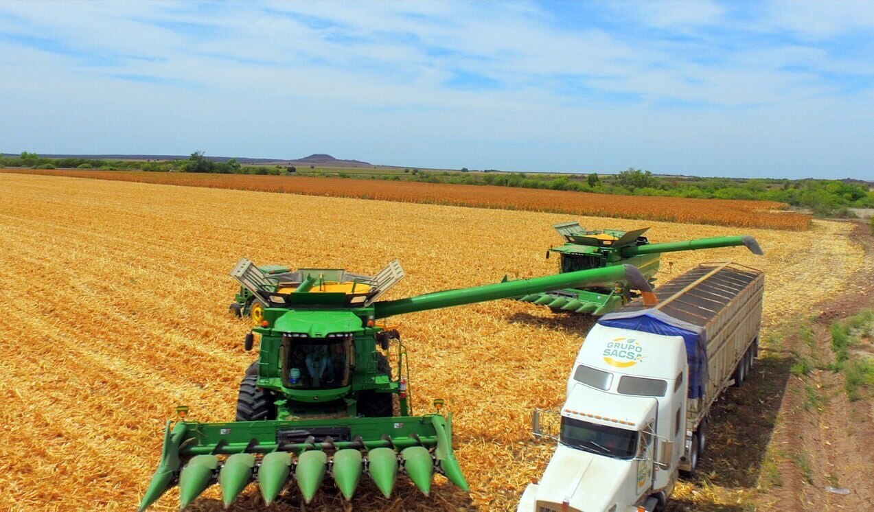 17 Objetivos de Desarrollo Sostenible (ODS) 17 Objetivos de Desarrollo Sostenible (ODS)