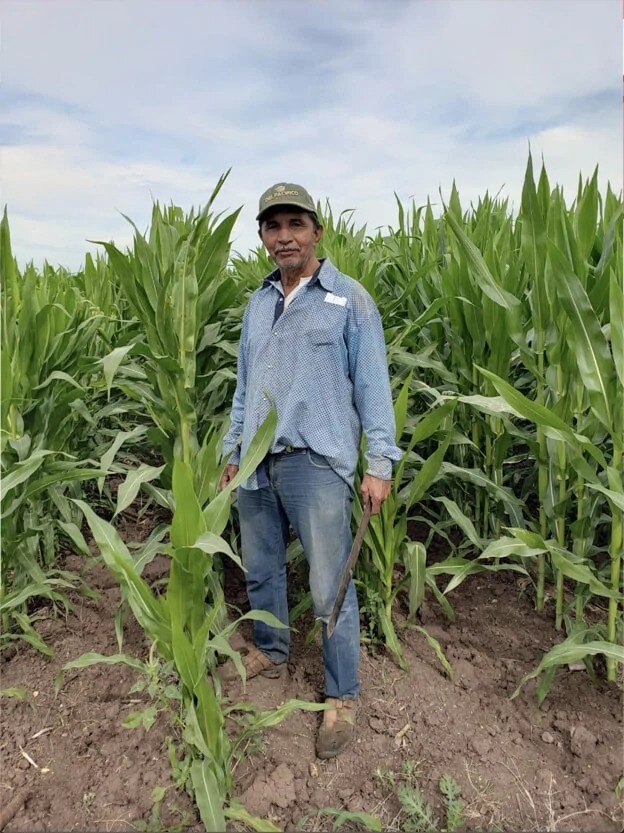 Alianza con los pequeños y medianos productores de maíz amarillo en el país Alianza con los pequeños y medianos productores de maíz amarillo en el país