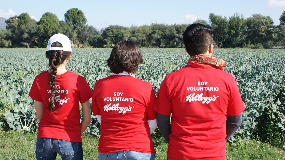 Voluntarios Mejores Días