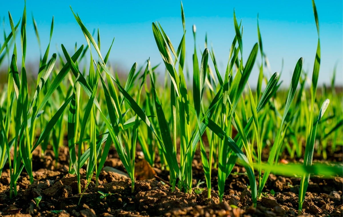 Naturaleza Naturaleza